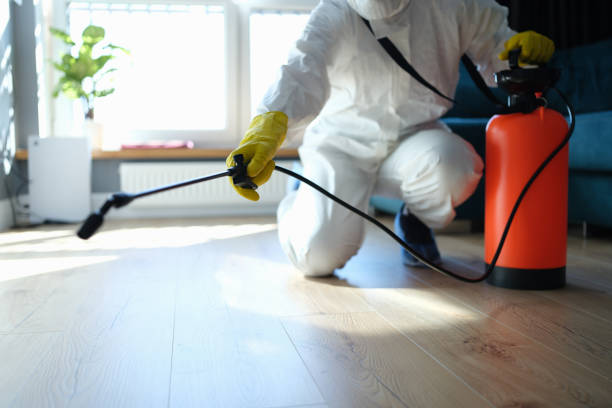 Reliable Sewage Cleanup contractor in Mims, FL by Trauma Clean Pros